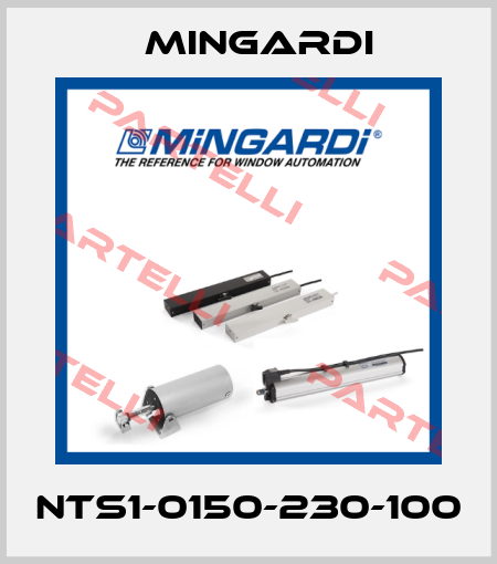 NTS1-0150-230-100 Mingardi