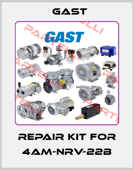 Repair kit for 4AM-NRV-22B Gast