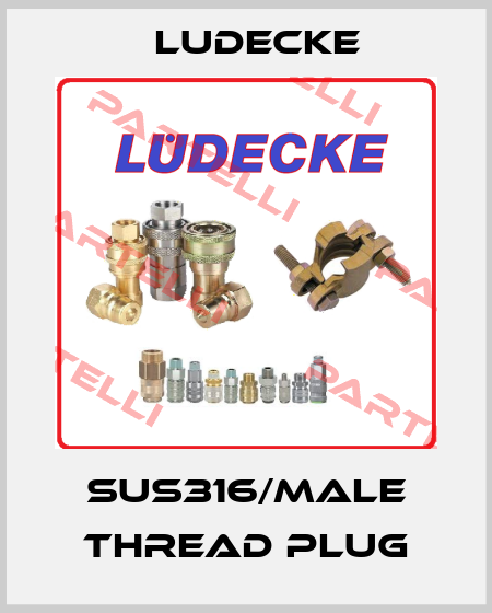SUS316/male thread plug Ludecke
