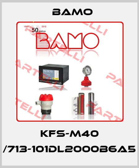 KFS-M40 /713-101DL2000B6A5 Bamo