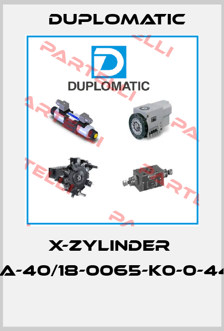 X-ZYLINDER  HC2A-40/18-0065-K0-0-44/20  Duplomatic