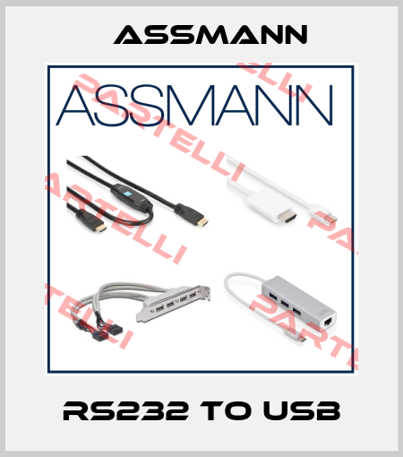 RS232 TO USB Assmann