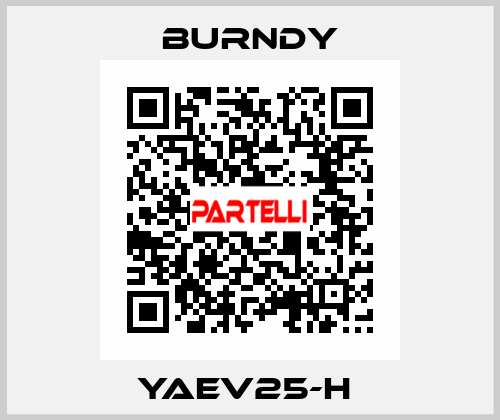 YAEV25-H  Burndy