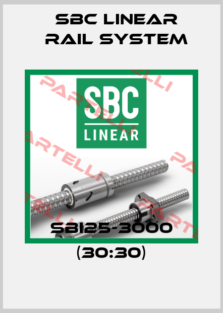 SBI25-3000 (30:30) SBC Linear Rail System