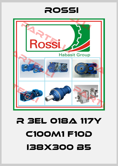 R 3EL 018A 117Y C100M1 F10d I38x300 B5 Rossi