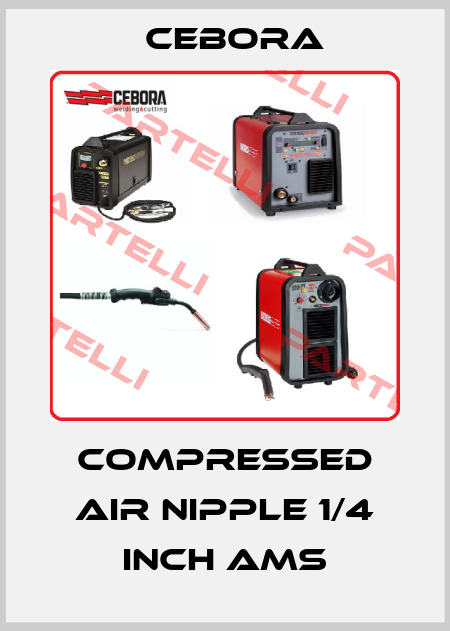 Compressed air nipple 1/4 inch aMS Cebora