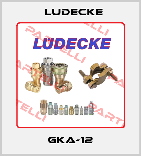 GKA-12 Ludecke