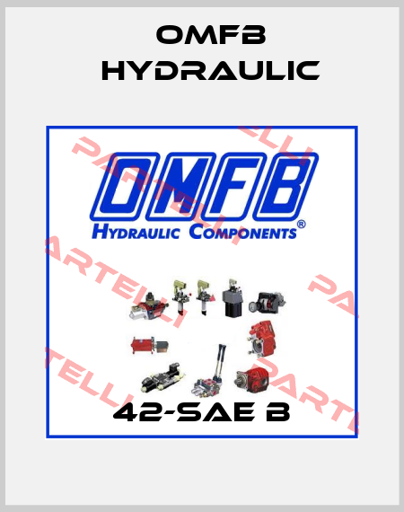 42-SAE B OMFB Hydraulic