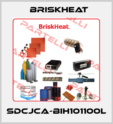 SDCJCA-BIH101100L BriskHeat