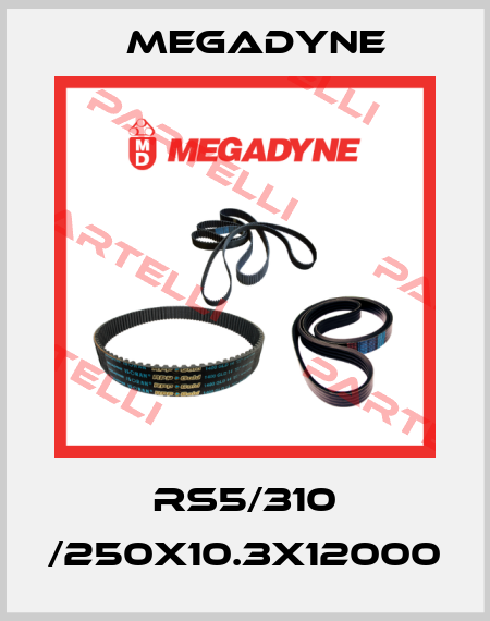 RS5/310 /250X10.3X12000 Megadyne