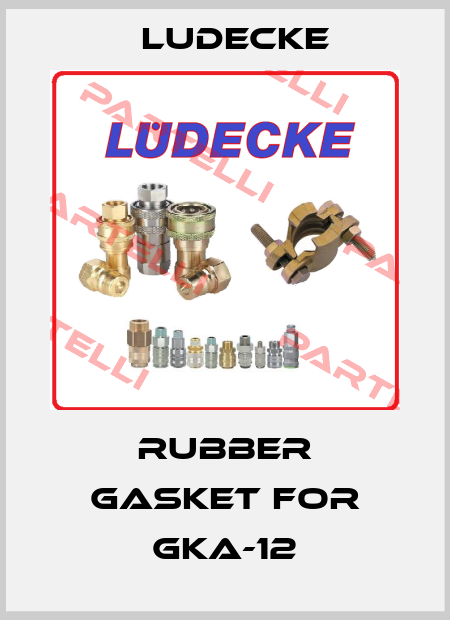 rubber gasket for GKA-12 Ludecke
