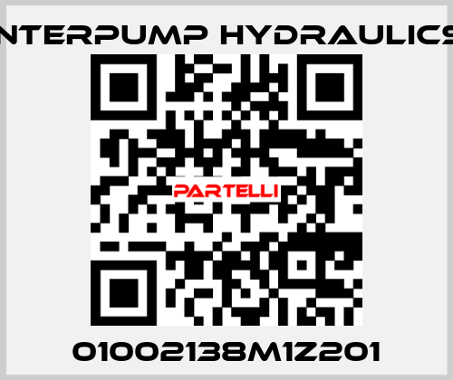 01002138M1Z201 Interpump hydraulics