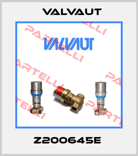 Z200645E  Valvaut