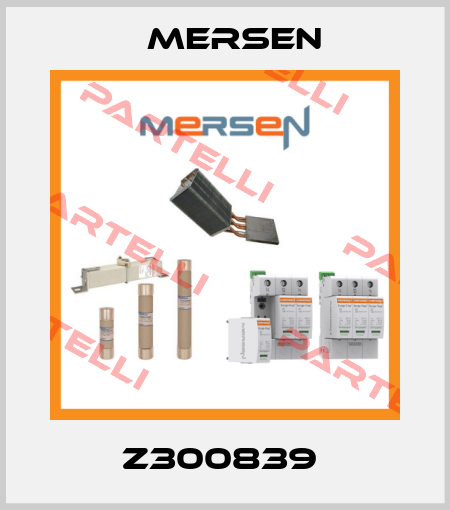 Z300839  Mersen