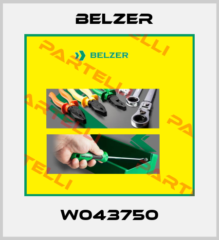 W043750 Belzer