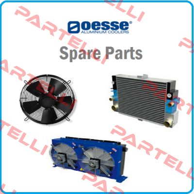 HY005.1-04A Oesse