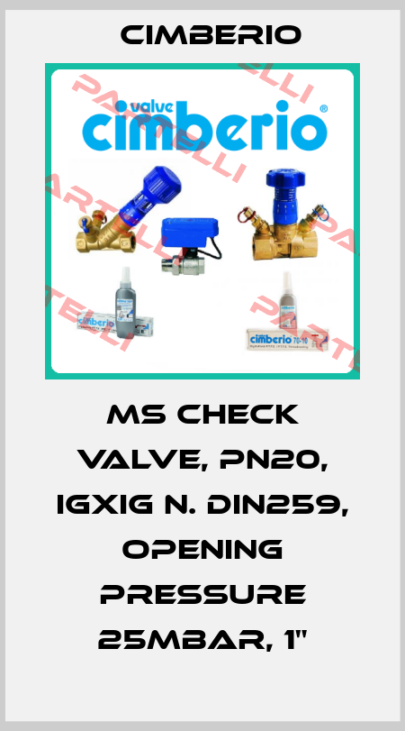 MS check valve, PN20, IGXiG n. DIN259, opening pressure 25mbar, 1" Cimberio