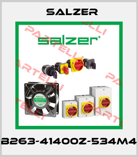 B263-41400Z-534M4 Salzer
