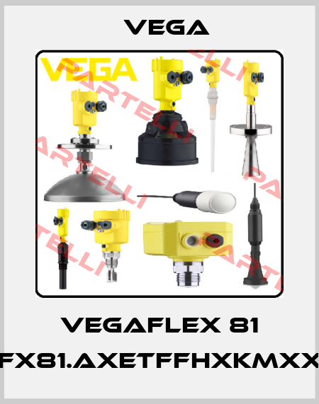 VEGAFLEX 81 (FX81.AXETFFHXKMXX) Vega