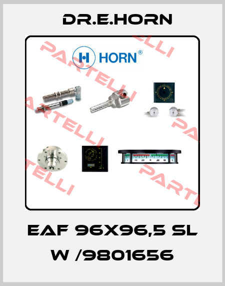 EAF 96X96,5 sl W /9801656 Dr.E.Horn