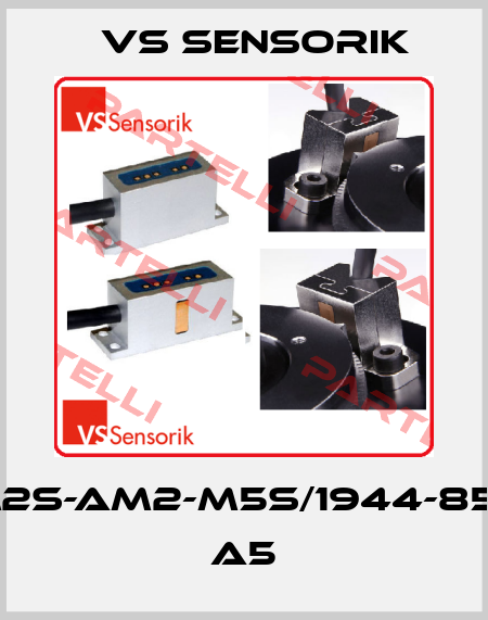 RGM2S-AM2-M5S/1944-85084 A5 VS Sensorik