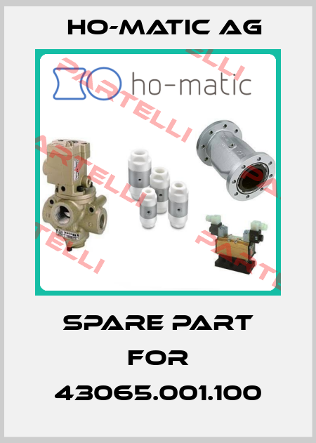 spare part for 43065.001.100 Ho-Matic AG