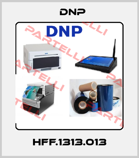 HFF.1313.013 DNP