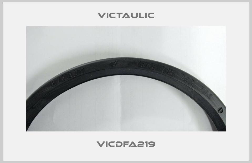 VICDFA219 Victaulic