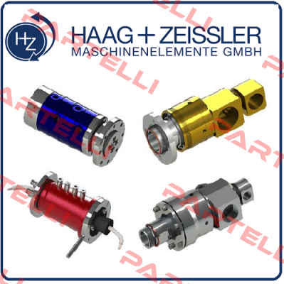 994001 Haag Zeissler