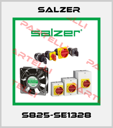 S825-SE1328 Salzer