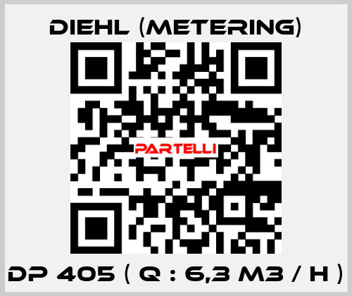 DP 405 ( Q : 6,3 M3 / H ) Diehl (Metering)