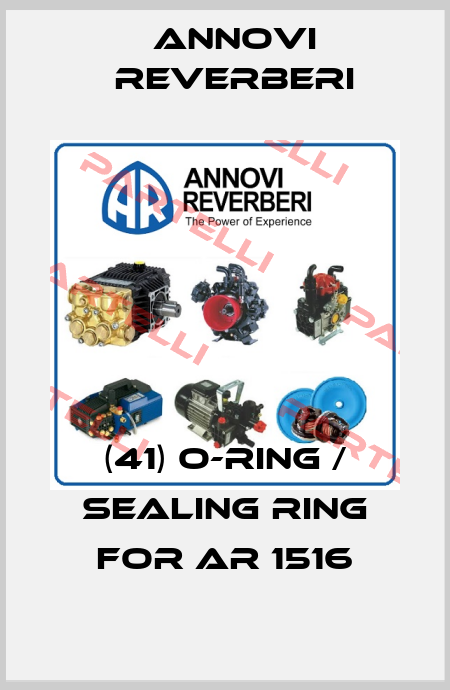 (41) O-ring / sealing ring for AR 1516 Annovi Reverberi