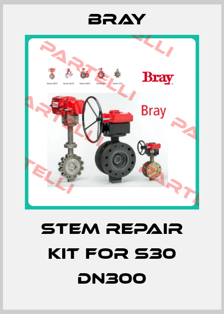 Stem repair kit for S30 DN300 Bray