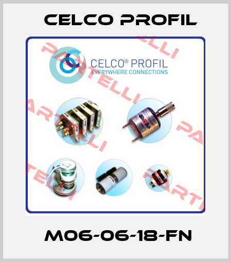 СM06-06-18-FN  Celco Profil