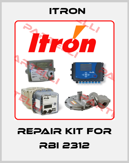 Repair kit for RBI 2312 Itron