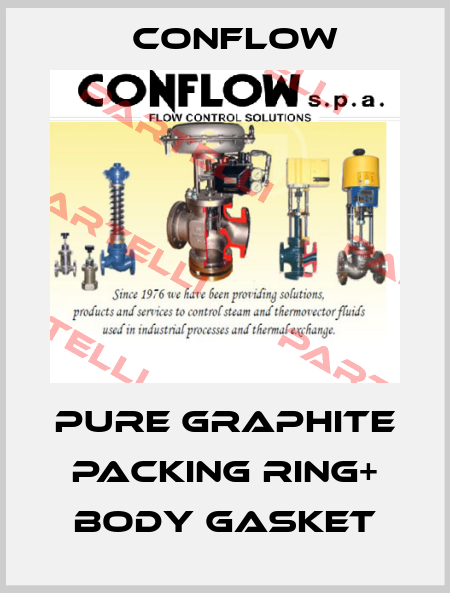PURE GRAPHITE PACKING RING+ BODY GASKET CONFLOW