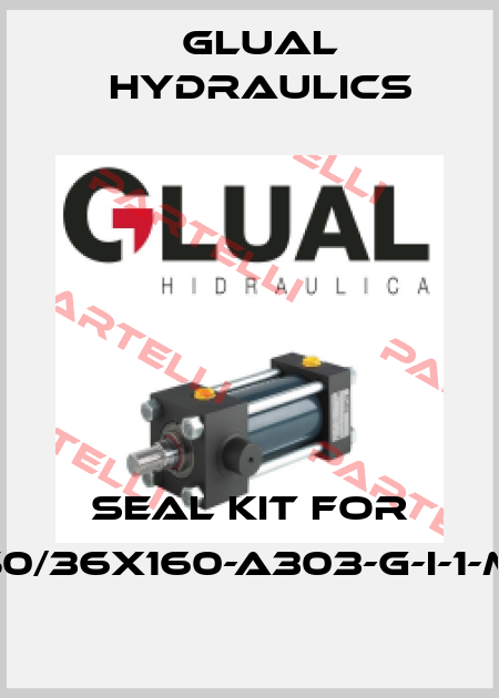 seal kit for K0-50/36X160-A303-G-I-1-M-20 Glual Hydraulics