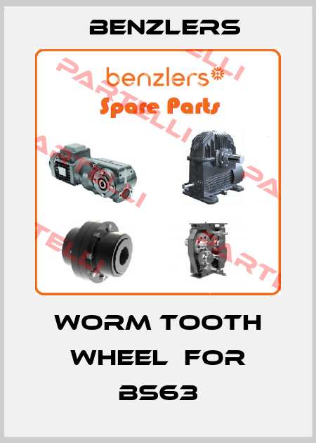 worm tooth wheel  for BS63 Benzlers