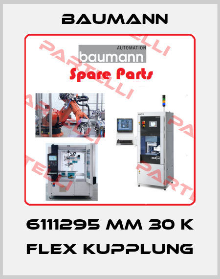 6111295 MM 30 K Flex Kupplung Baumann