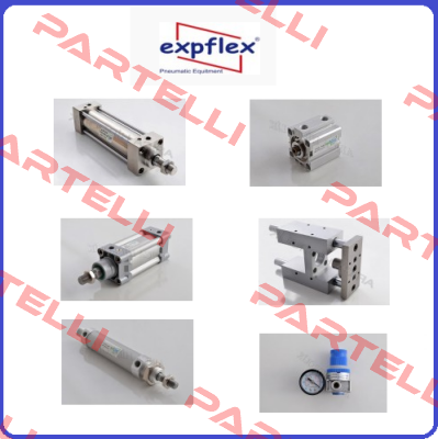 repair kit for SDA 60X25 EXPFLEX