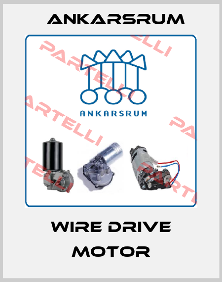 Wire Drive Motor Ankarsrum
