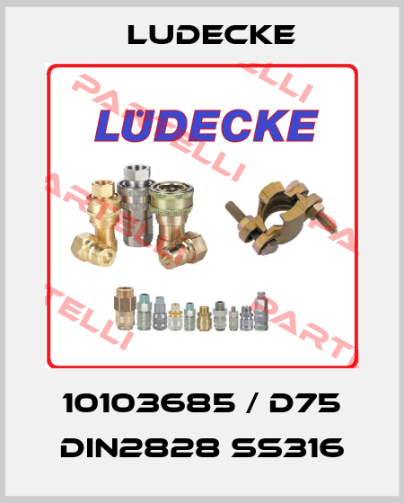 10103685 / D75 DIN2828 SS316 Ludecke
