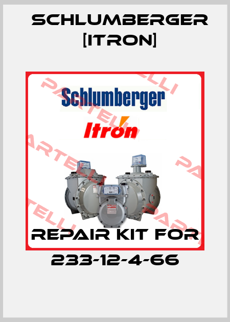 repair kit for 233-12-4-66 Schlumberger [Itron]