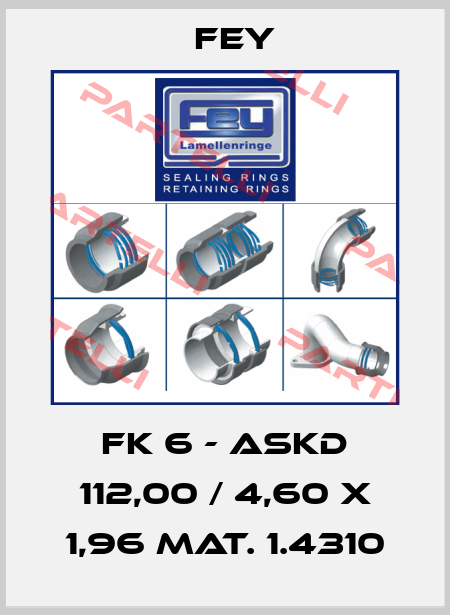 FK 6 - ASKD 112,00 / 4,60 x 1,96 Mat. 1.4310 Fey