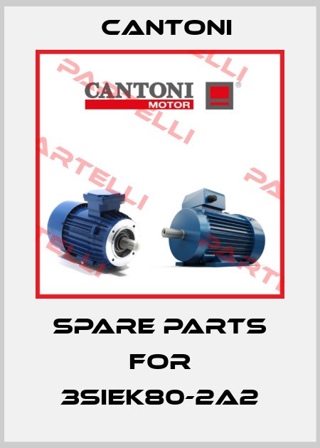 spare parts for 3SIEK80-2A2 Cantoni