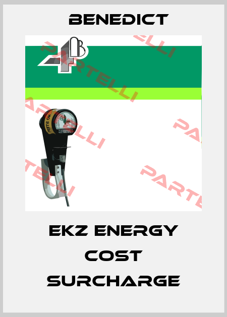 EKZ energy cost surcharge Benedict