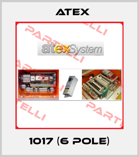 1017 (6 pole) Atex