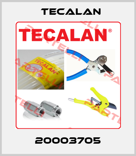 20003705 Tecalan