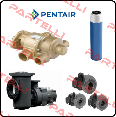 Kit for 142482 Rev.B Pentek (Pentair)