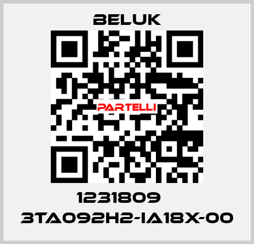 1231809    3TA092H2-IA18X-00 Beluk